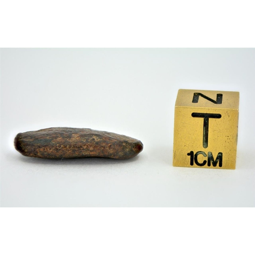 3.94 gram NWA 859 TAZA meteorite - Ungrouped Iron Meteorite I TOP METEORITE Image 4