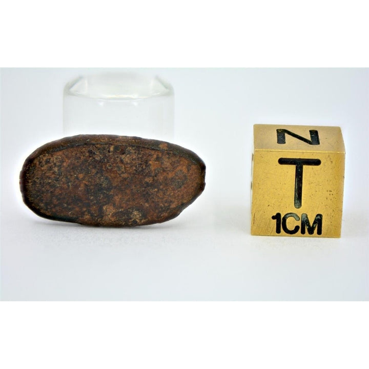 3.94 gram NWA 859 TAZA meteorite - Ungrouped Iron Meteorite I TOP METEORITE Image 4