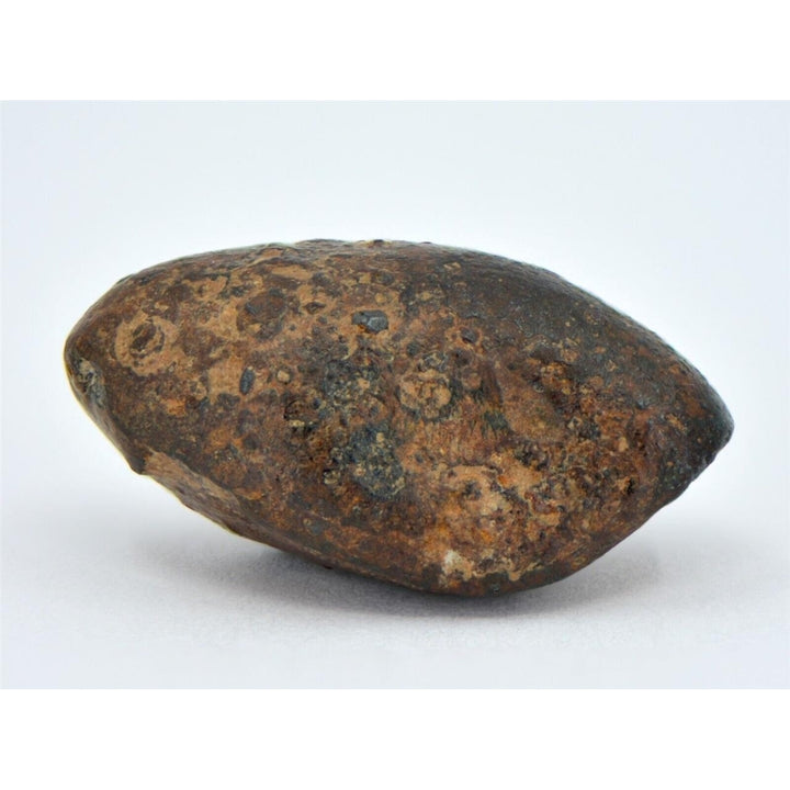 9.29 gram NWA 859 TAZA meteorite - Ungrouped Iron Meteorite I TOP METEORITE Image 4