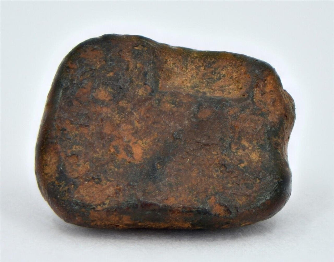 2.94 gram NWA 859 TAZA meteorite - Ungrouped Iron Meteorite I TOP METEORITE Image 4