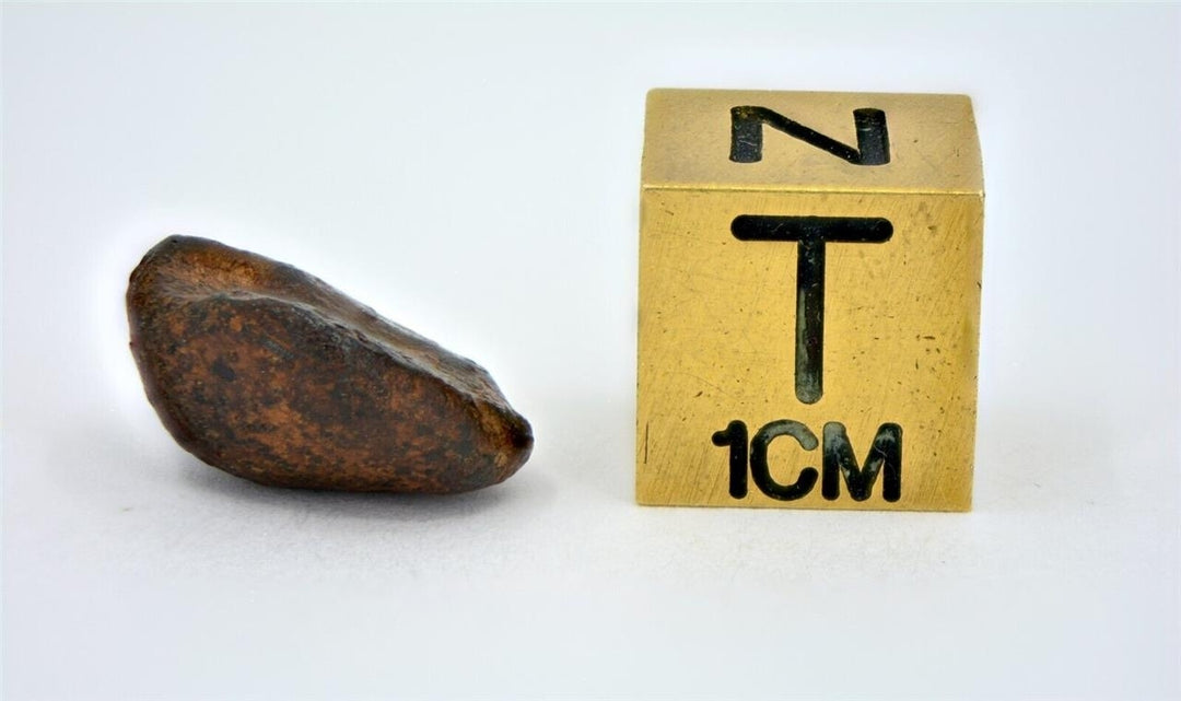 2.94 gram NWA 859 TAZA meteorite - Ungrouped Iron Meteorite I TOP METEORITE Image 6