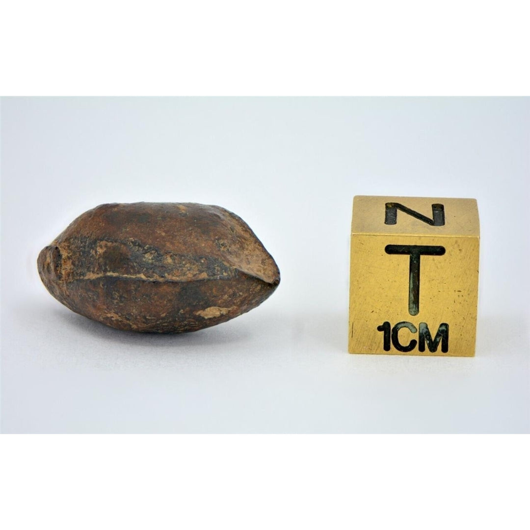 9.29 gram NWA 859 TAZA meteorite - Ungrouped Iron Meteorite I TOP METEORITE Image 6