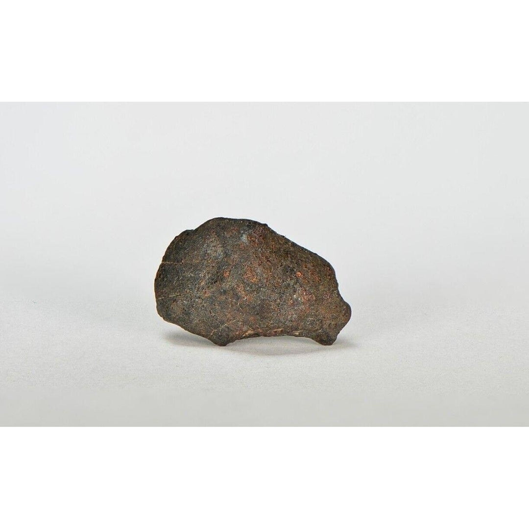 ORDINARY CHONDRITE Meteorite with FRESH CRUST 2.70g - TOP Image 1