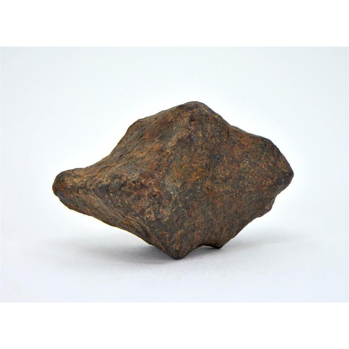 38.5 gram MUNDRABILLA meteorite - Iron Meteorite - TOP METEORITE Image 1