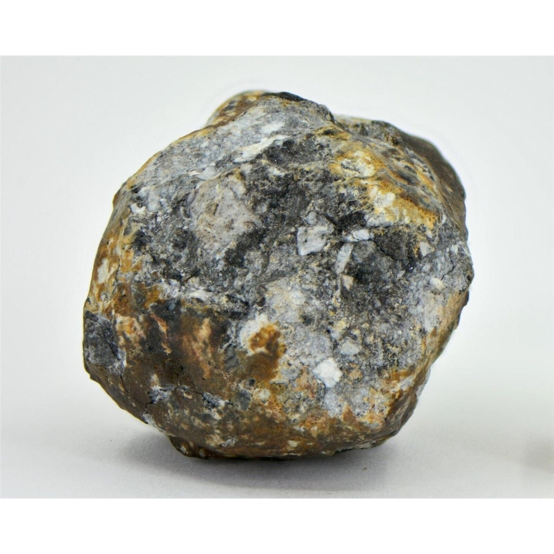 22.26g Aubrite Achondrite Meteorite - Tiglet I 2021 Witnessed Fall TOP METEORITE Image 1