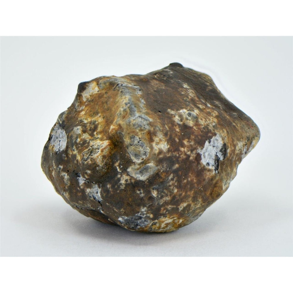 22.26g Aubrite Achondrite Meteorite - Tiglet I 2021 Witnessed Fall TOP METEORITE Image 2