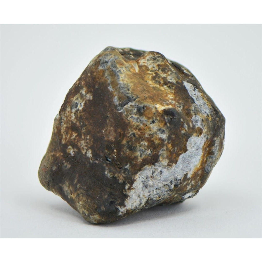 22.26g Aubrite Achondrite Meteorite - Tiglet I 2021 Witnessed Fall TOP METEORITE Image 3