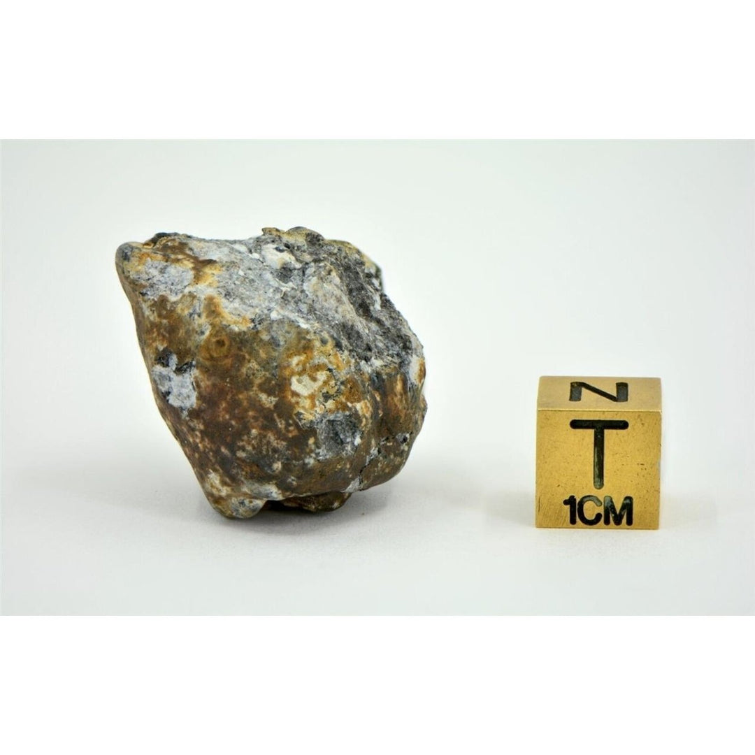 22.26g Aubrite Achondrite Meteorite - Tiglet I 2021 Witnessed Fall TOP METEORITE Image 4