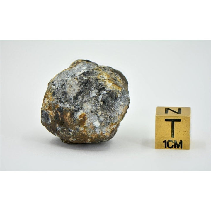 22.26g Aubrite Achondrite Meteorite - Tiglet I 2021 Witnessed Fall TOP METEORITE Image 4