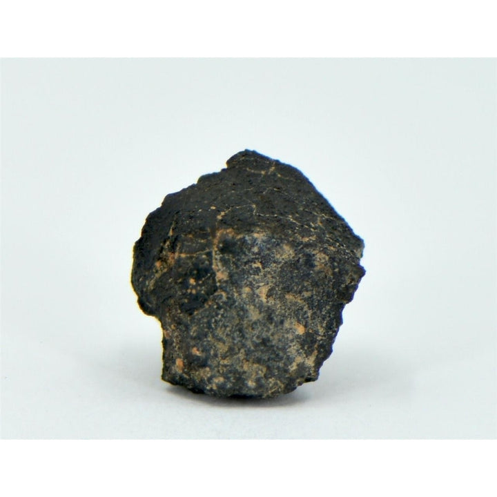 1.66g Carbonaceous Chondrite C3-ung I NWA 12416 - TOP METEORITE Image 2