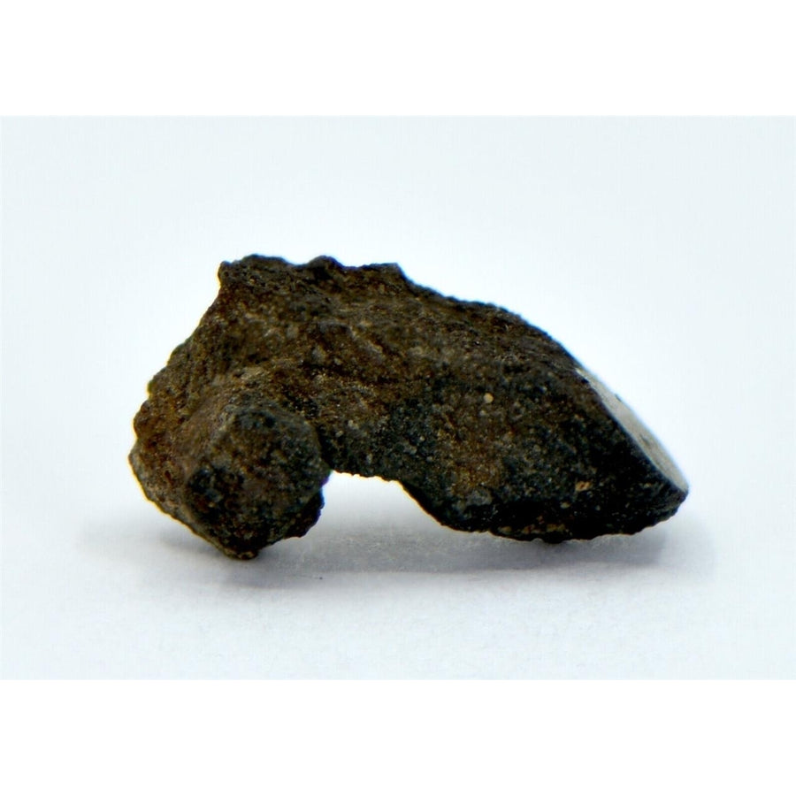 1.16g Carbonaceous Chondrite C3-ung I NWA 12416 - TOP METEORITE Image 1