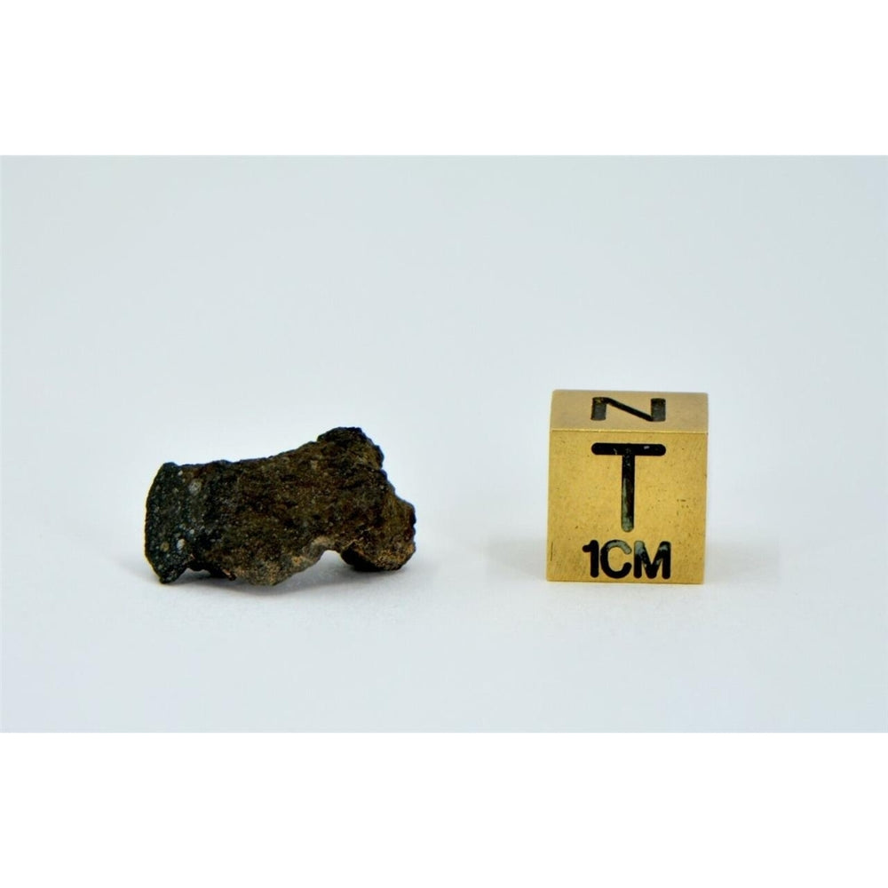 1.16g Carbonaceous Chondrite C3-ung I NWA 12416 - TOP METEORITE Image 2