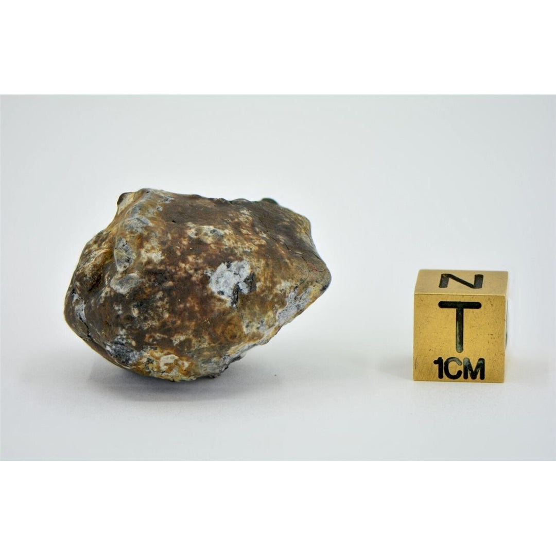 22.26g Aubrite Achondrite Meteorite - Tiglet I 2021 Witnessed Fall TOP METEORITE Image 6