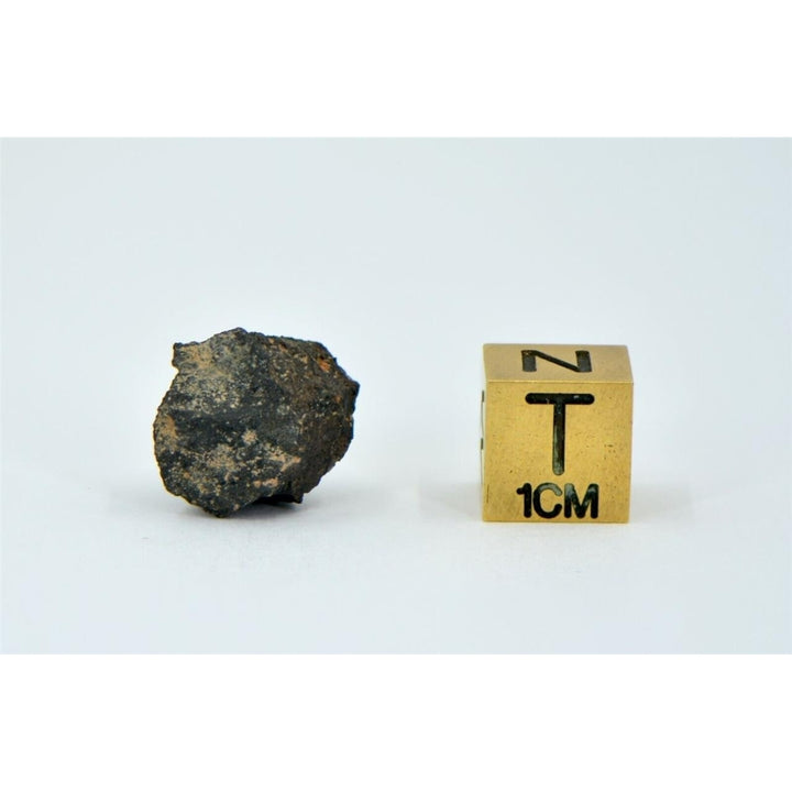 1.66g Carbonaceous Chondrite C3-ung I NWA 12416 - TOP METEORITE Image 4