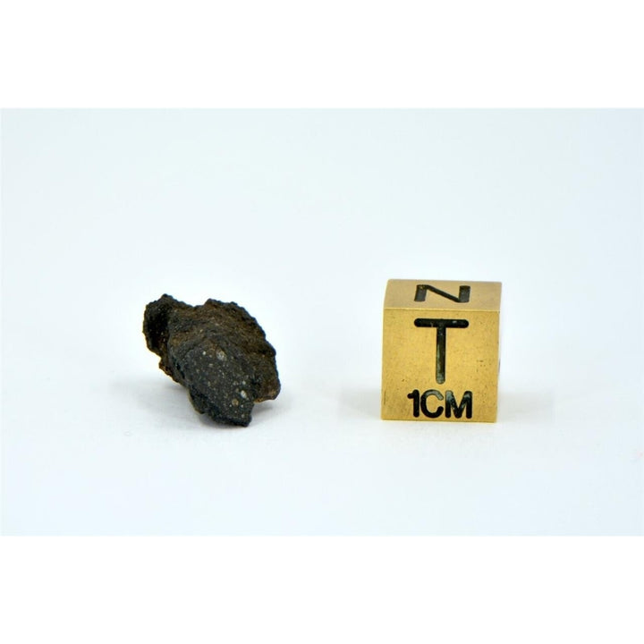1.16g Carbonaceous Chondrite C3-ung I NWA 12416 - TOP METEORITE Image 3