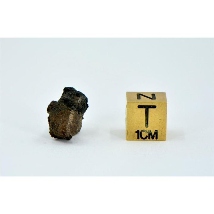 1.16g Carbonaceous Chondrite C3-ung I NWA 12416 - TOP METEORITE Image 4
