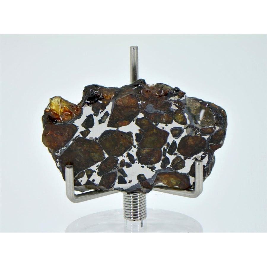 7.40g Golden Pallasite Meteorite Slice - TOP METEORITE Image 1