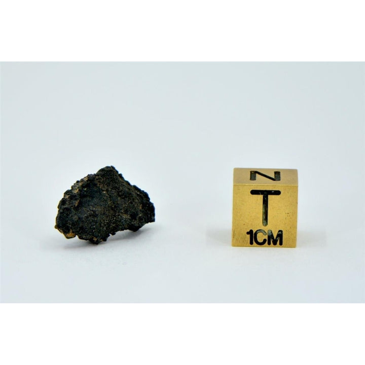 1.46g Carbonaceous Chondrite C3-ung I NWA 12416 - TOP METEORITE Image 4