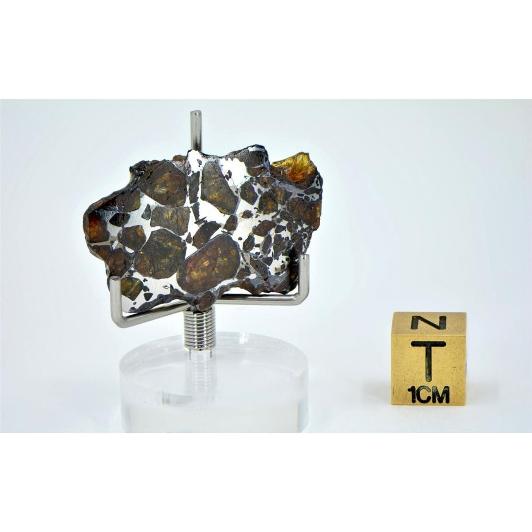 7.40g Golden Pallasite Meteorite Slice - TOP METEORITE Image 2