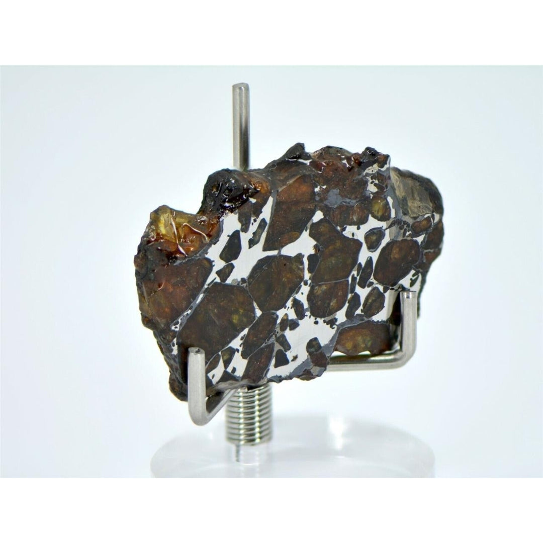 7.40g Golden Pallasite Meteorite Slice - TOP METEORITE Image 3