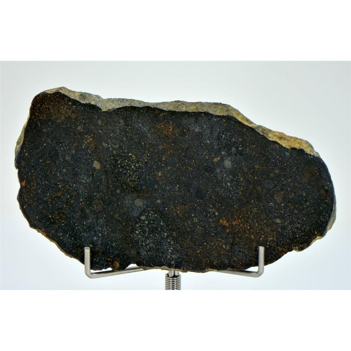 33.11g NWA 13758 - R3 Chondrite Meteorite Slice - TOP METEORITE Image 1