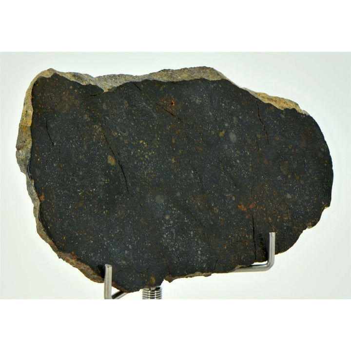 33.11g NWA 13758 - R3 Chondrite Meteorite Slice - TOP METEORITE Image 2