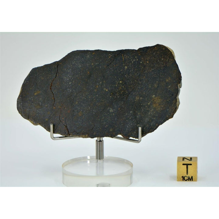 33.11g NWA 13758 - R3 Chondrite Meteorite Slice - TOP METEORITE Image 3