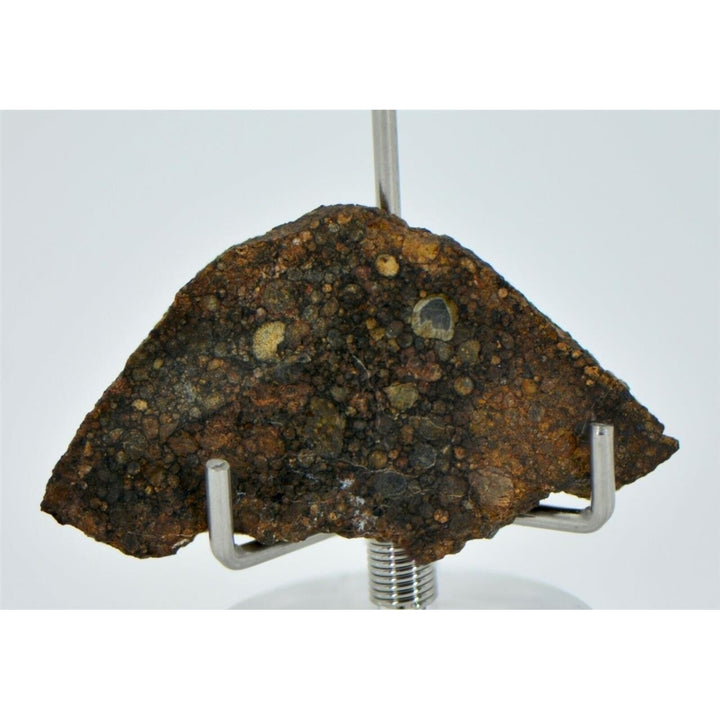 4g LL3.00 Unequilibrated Primitive Chondrite Slice - TOP METEORITE Image 1