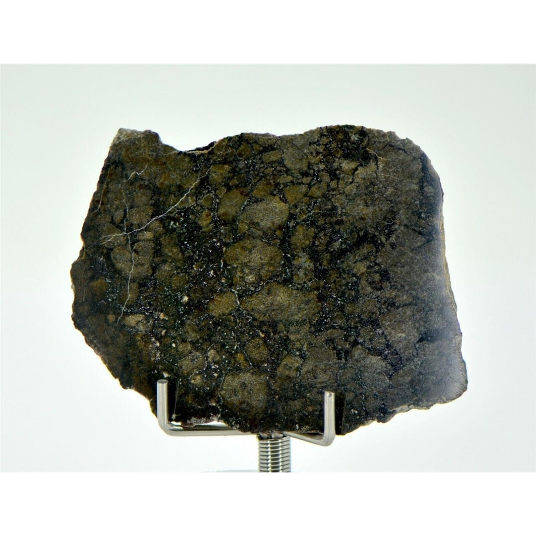 14.5g Eucrite Monomict Slice HED NWA 8555 - TOP METEORITE Image 1