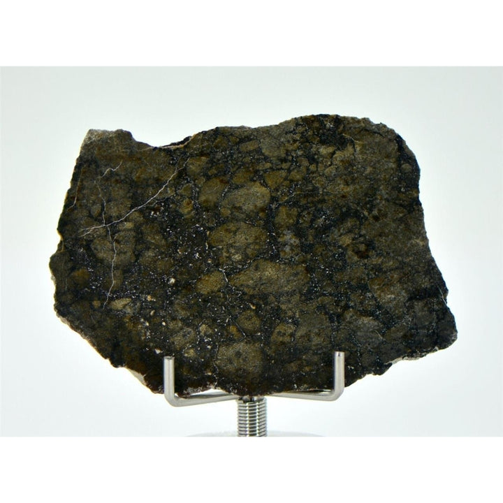 14.5g Eucrite Monomict Slice HED NWA 8555 - TOP METEORITE Image 3