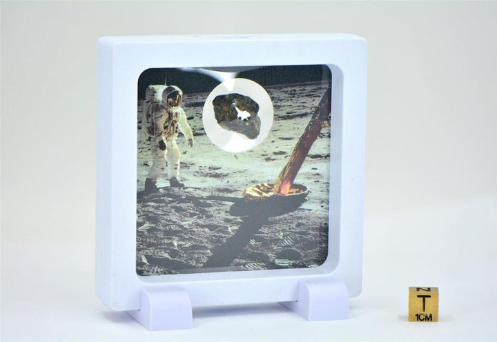 Lunar Meteorite in Display Frame I Amazing piece of the Moon - TOP METEORITE Image 4