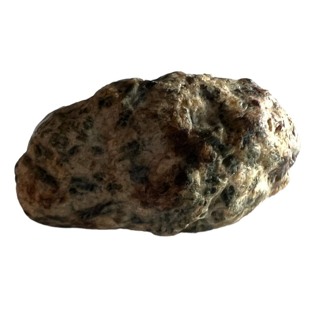 1.952g Erg Chech 002 Ungrouped Achondrite Meteorite - TOP METEORITE Image 2
