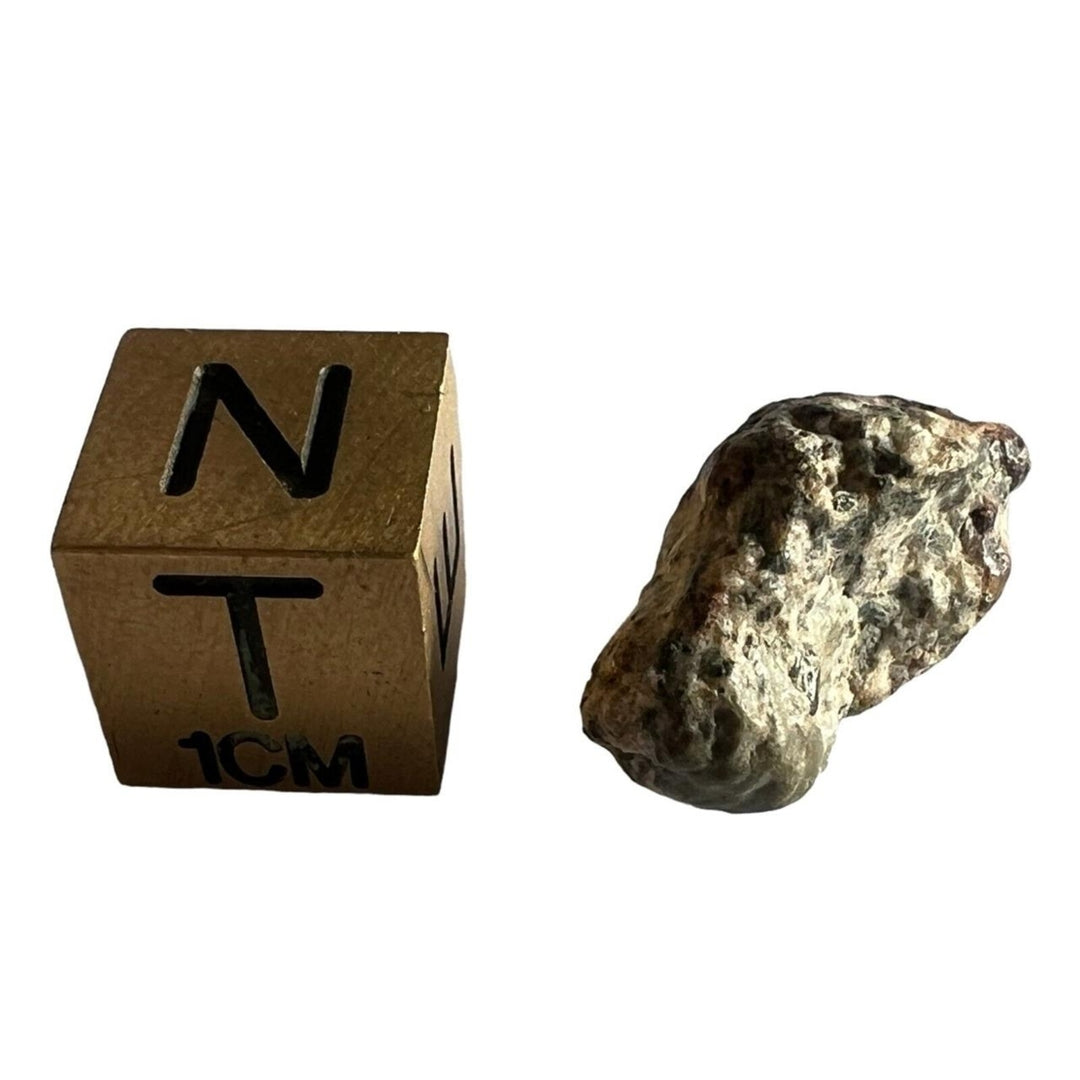 1.952g Erg Chech 002 Ungrouped Achondrite Meteorite - TOP METEORITE Image 4