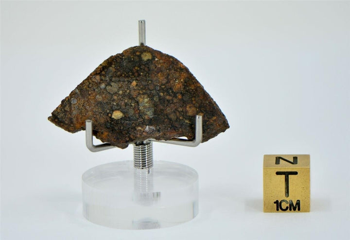 4g LL3.00 Unequilibrated Primitive Chondrite Slice - TOP METEORITE Image 4