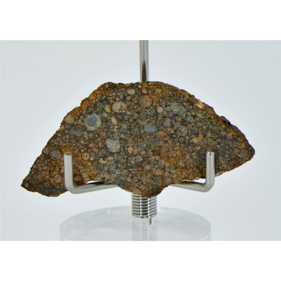 3.44g LL3.00 Unequilibrated Primitive Chondrite Slice - TOP METEORITE Image 1