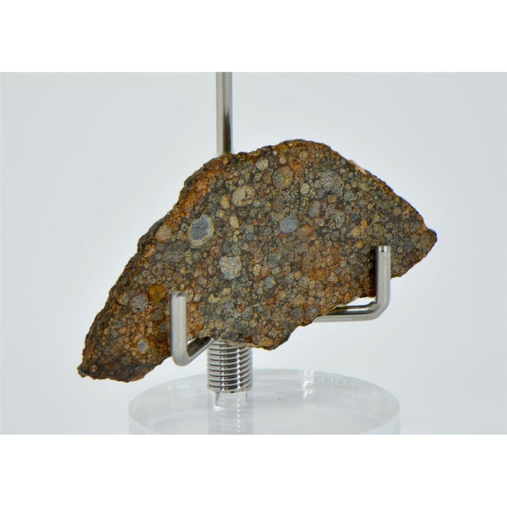 3.44g LL3.00 Unequilibrated Primitive Chondrite Slice - TOP METEORITE Image 3