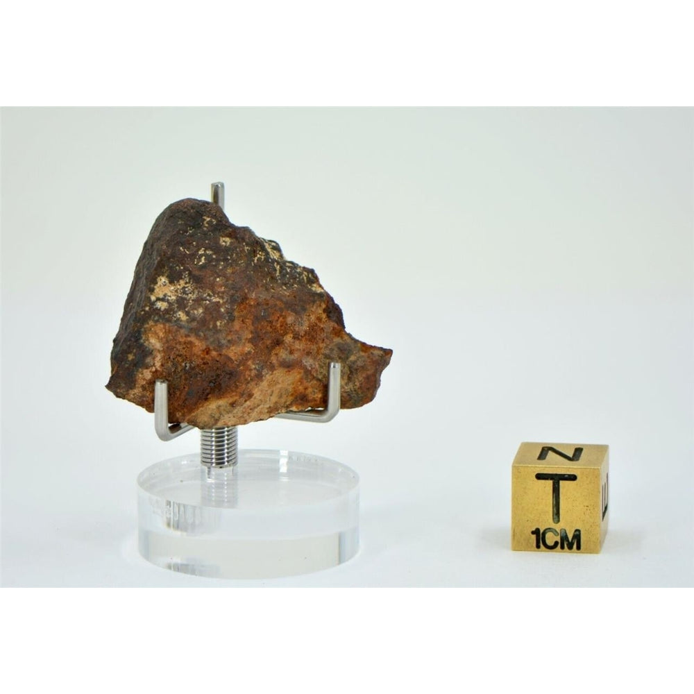 7.72g NWA 13674 - H7 Ordinary Chondrite Meteorite End Cut - TOP METEORITE Image 2