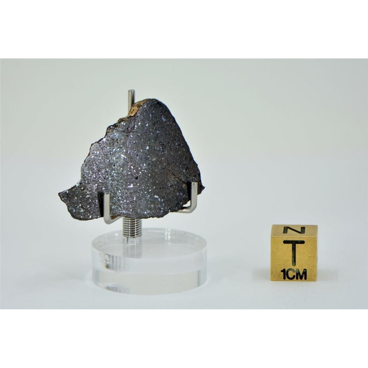 7.72g NWA 13674 - H7 Ordinary Chondrite Meteorite End Cut - TOP METEORITE Image 3