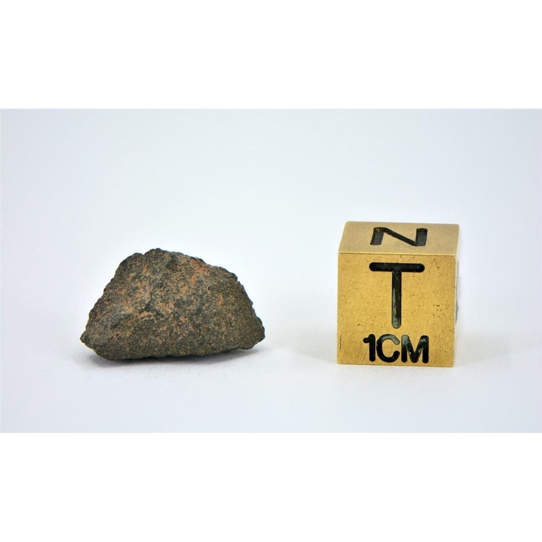 0.831g Carbonaceous Chondrite CM2-an I NWA 3340 - TOP METEORITE Image 4
