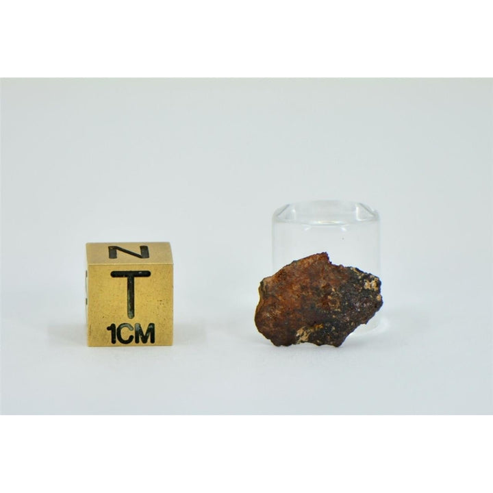 0.74g NWA 13674 - H7 Ordinary Chondrite Meteorite End Cut - TOP METEORITE Image 2