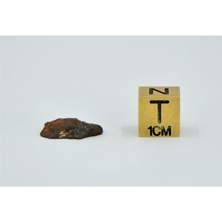 0.74g NWA 13674 - H7 Ordinary Chondrite Meteorite End Cut - TOP METEORITE Image 4
