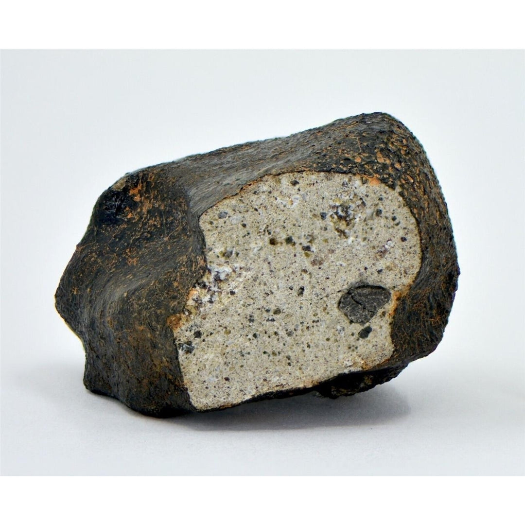 55.79g HED Achondrite Meteorite  Amazing Howardite - TOP METEORITE Image 1