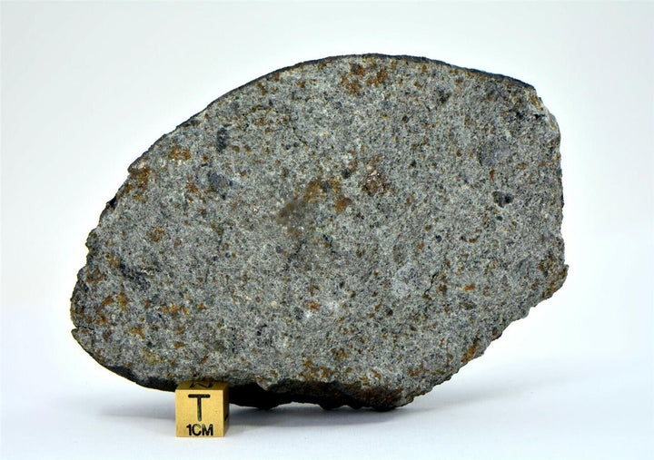 587.4g Fresh Crusted Chondrite - Witnessed Fall from Mauritania - TOP Image 4