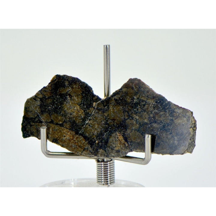 4.04g Eucrite Monomict Slice HED NWA 8555 - TOP METEORITE Image 1