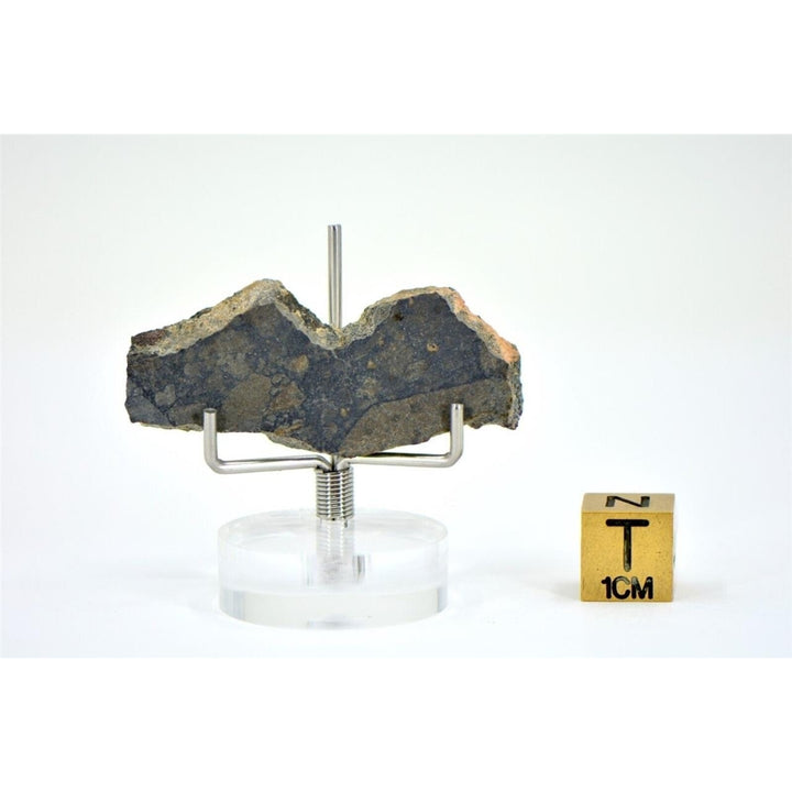 4.04g Eucrite Monomict Slice HED NWA 8555 - TOP METEORITE Image 2