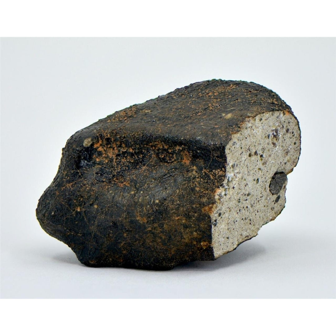 55.79g HED Achondrite Meteorite  Amazing Howardite - TOP METEORITE Image 2