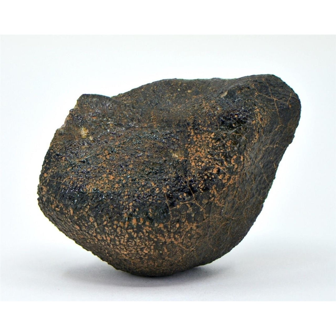 55.79g HED Achondrite Meteorite  Amazing Howardite - TOP METEORITE Image 3
