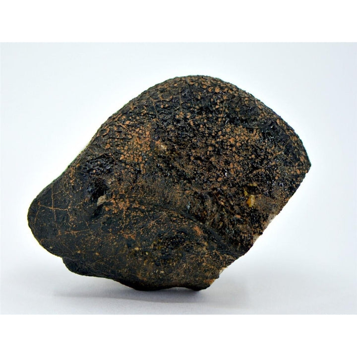 55.79g HED Achondrite Meteorite  Amazing Howardite - TOP METEORITE Image 4