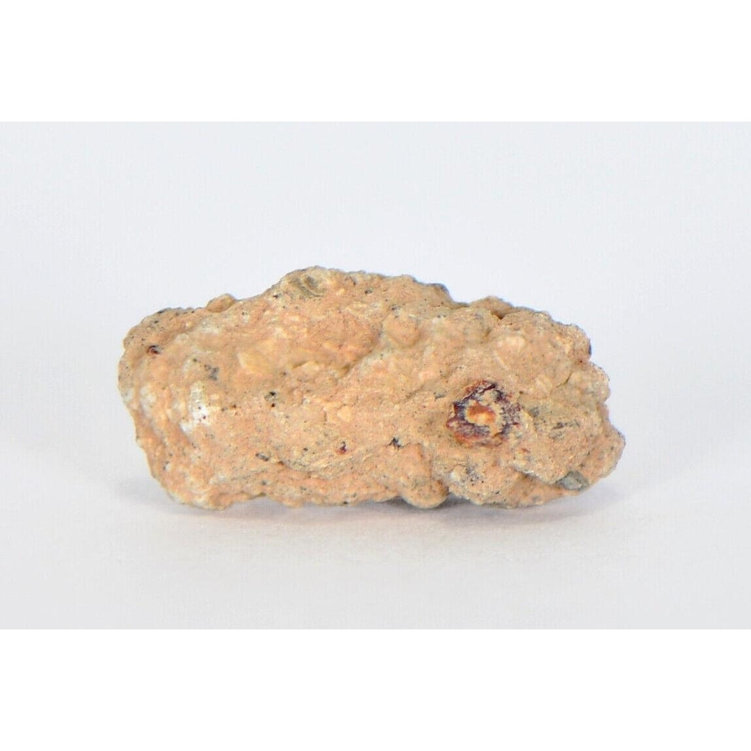 Aubrite Achondrite 1.66g Meteorite Fragment I NWA 13304 - TOP METEORITE Image 1