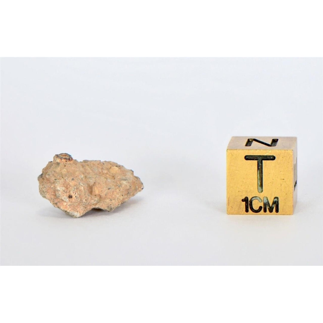 Aubrite Achondrite 1.66g Meteorite Fragment I NWA 13304 - TOP METEORITE Image 2